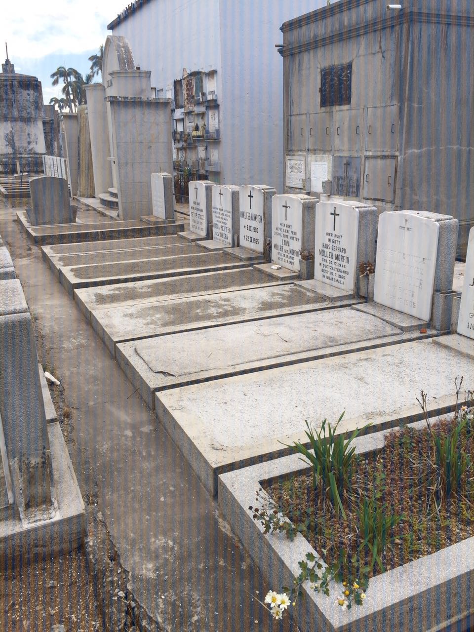 Tumbas Colonia Alemana